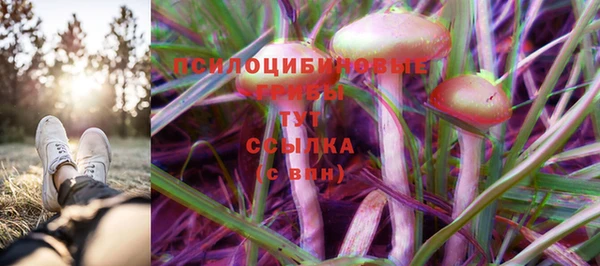 мяу мяу мука Белоозёрский