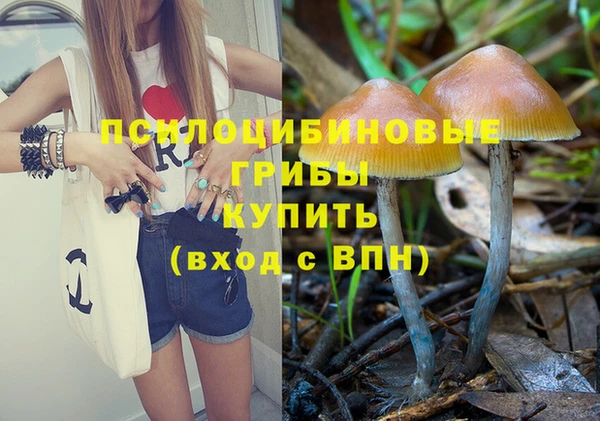 мяу мяу мука Белоозёрский