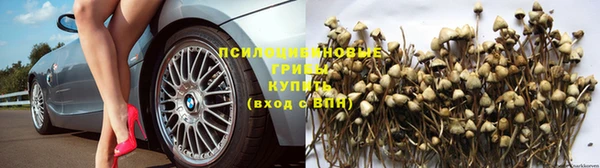 mix Белокуриха
